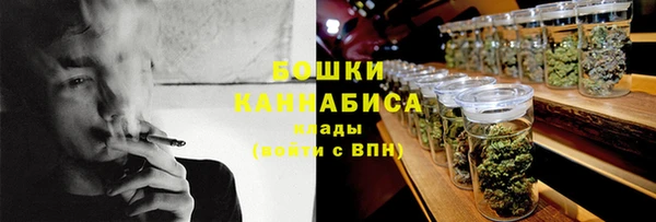 гидропоника Бородино