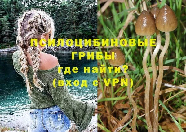 гидропоника Бородино