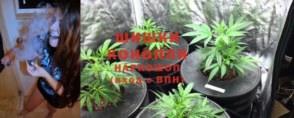 экстази Пестово
