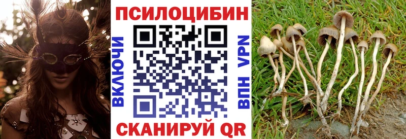blacksprut ONION  Карталы  Псилоцибиновые грибы прущие грибы 